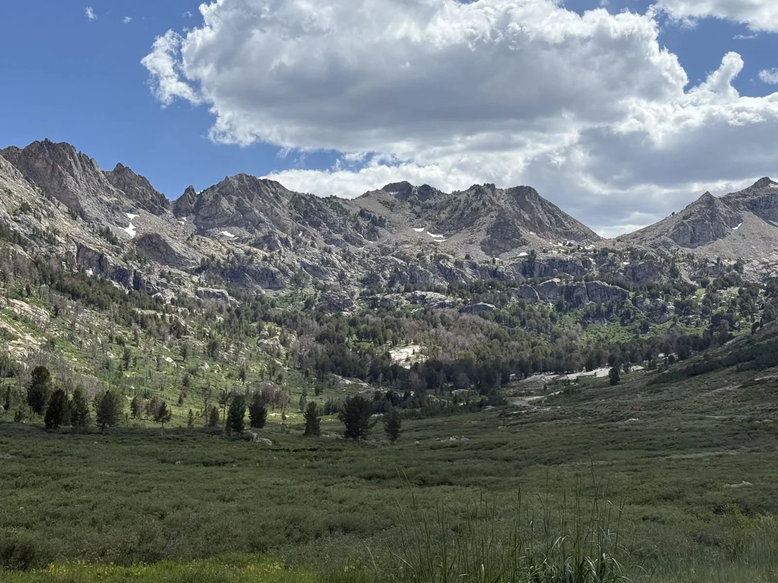 Lamoille NV