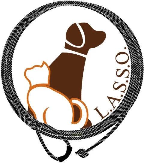 What is L.A.S.S.O. and How You Can Help