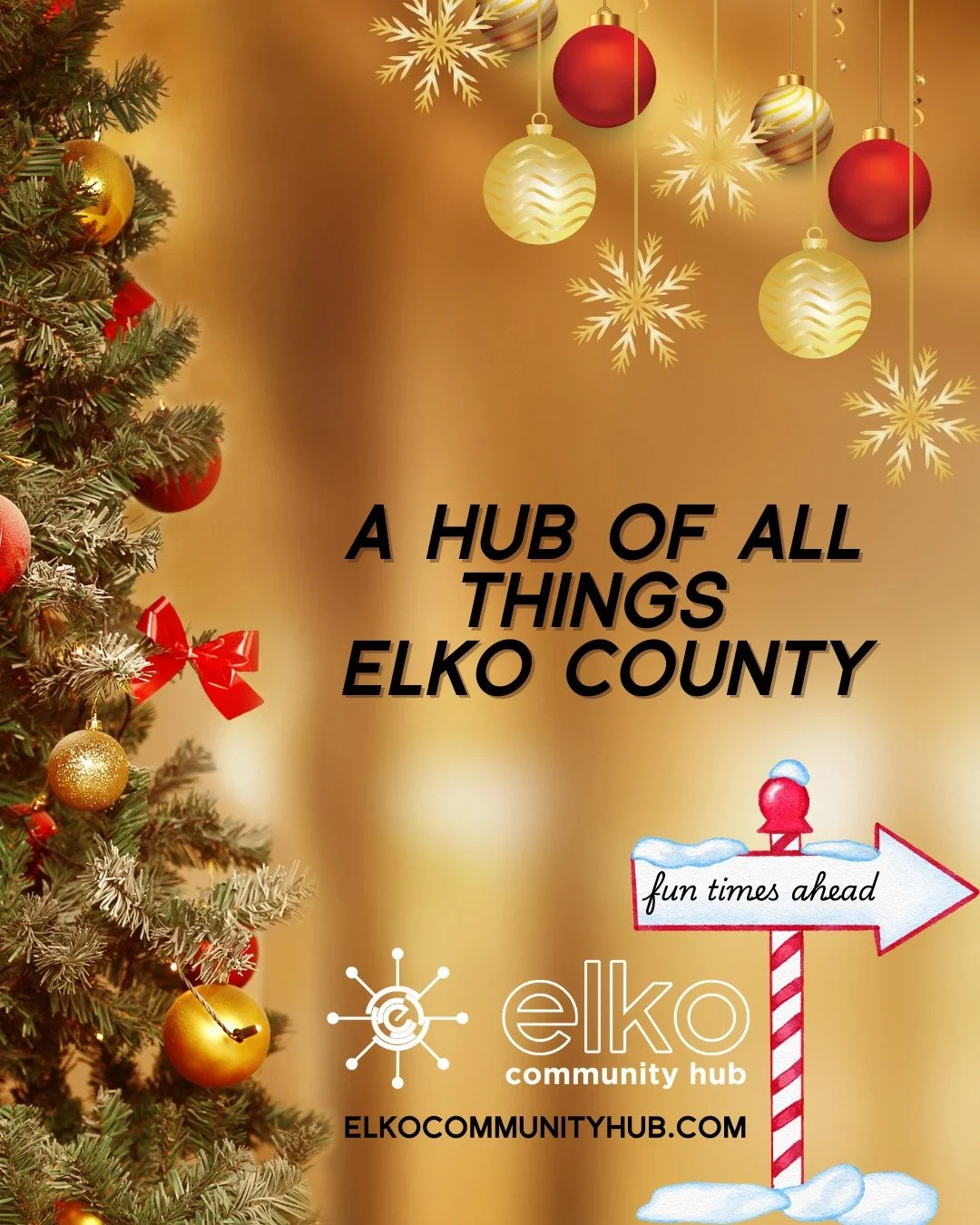 Whether you&rsquo;re last-minute shopping, choosing where to make your last donation of the year, or searching for winter break fun &ndash; you don&rsquo;t have to look far. 
Find it all in one place &rarr; https://elkocommunityhub.com/community
Have