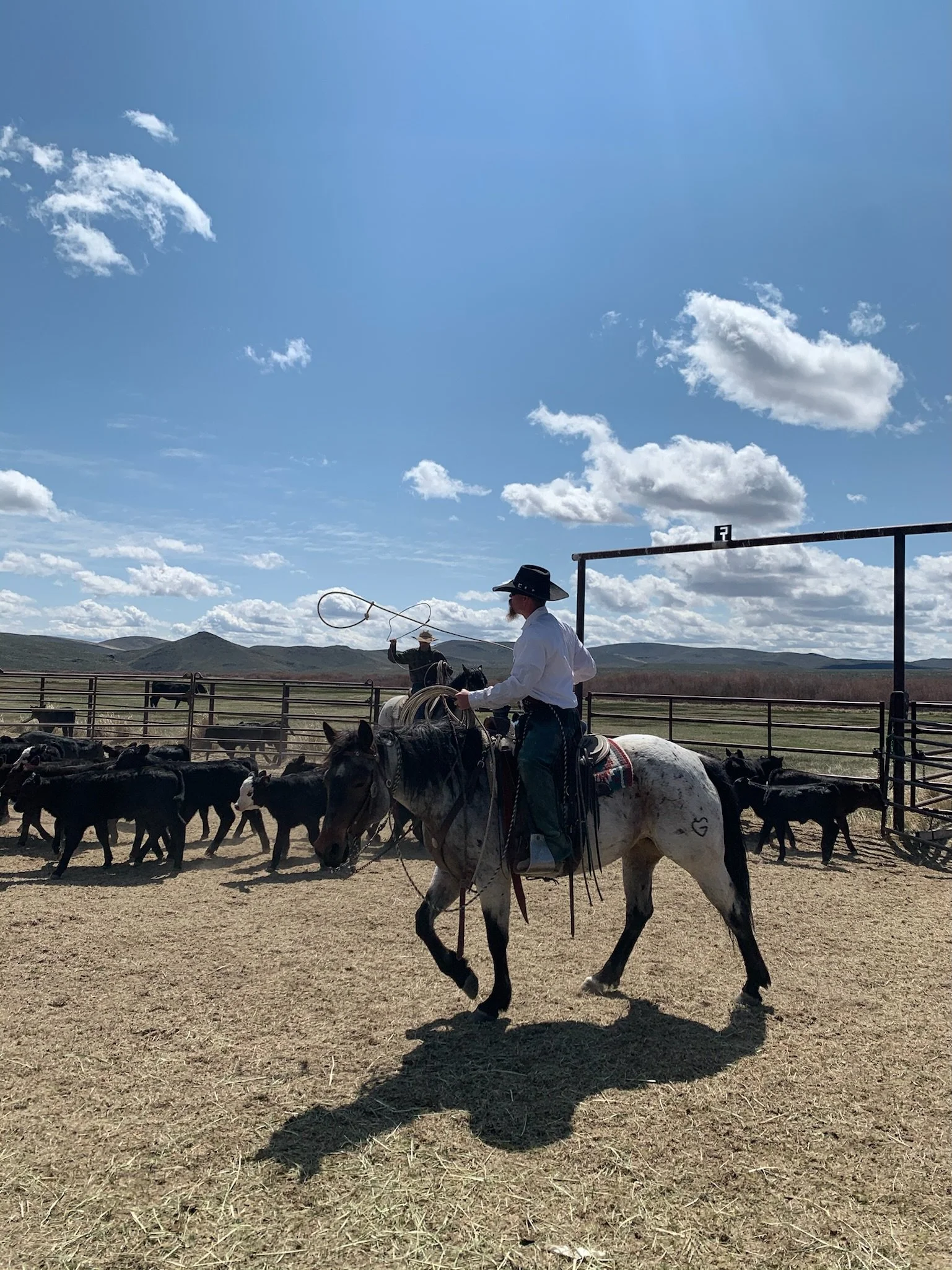 Elko County Events Calendar Live Music Craft Fairs Rodeos Things