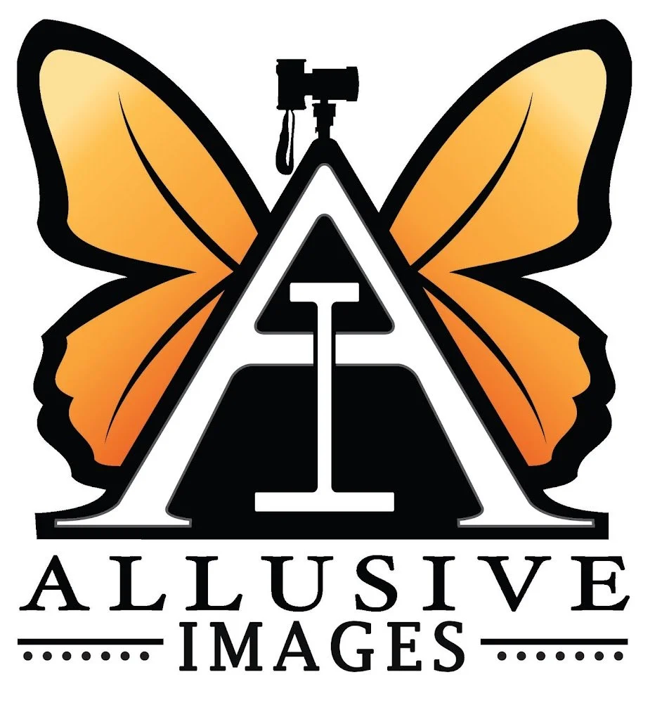 Allusive Images