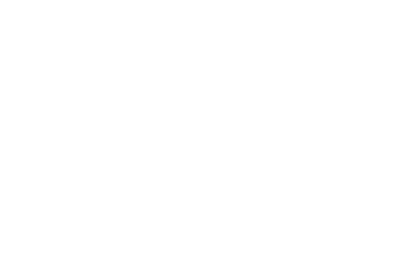 HYCUWhite600Trans.png