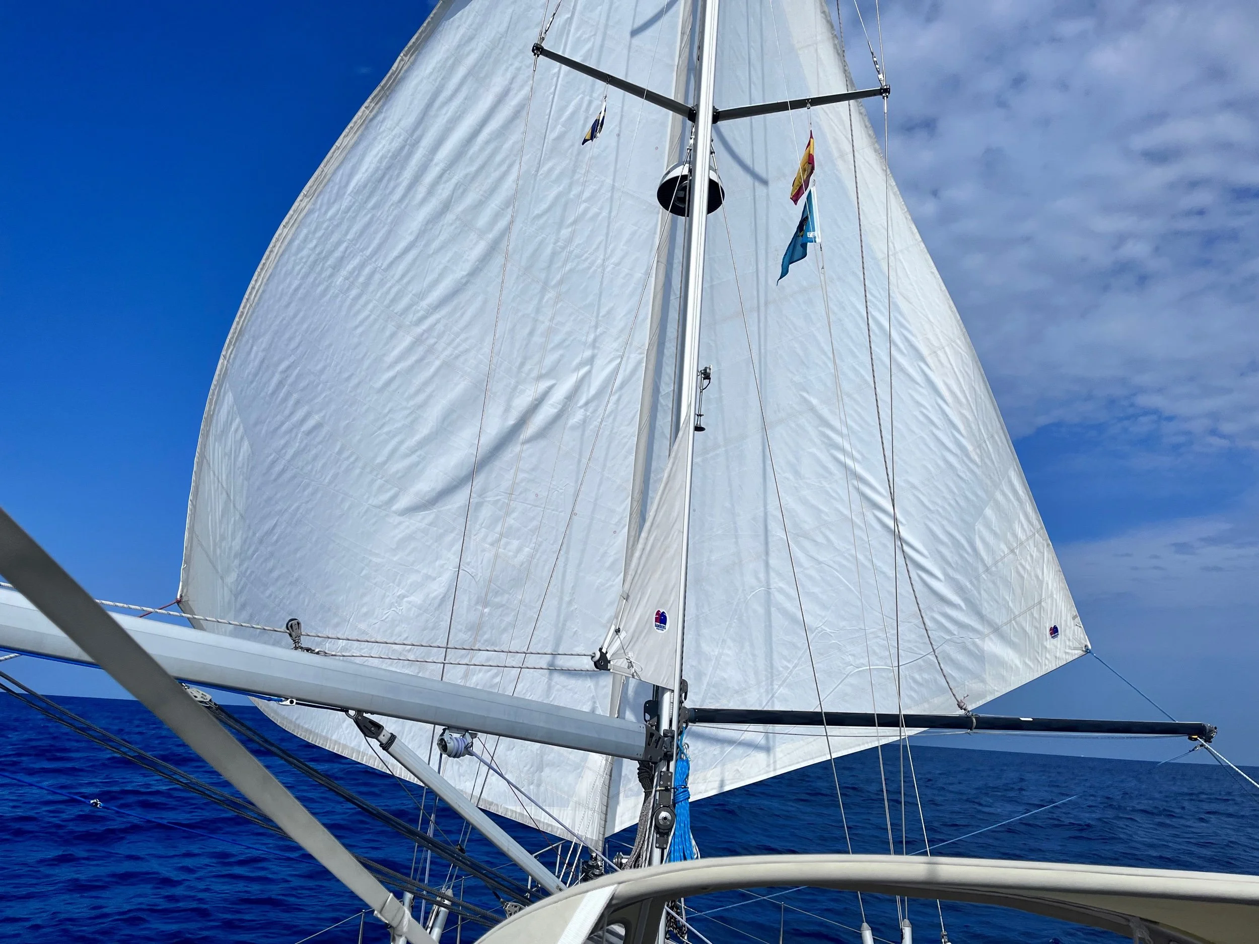 Twin headsails and dolphins