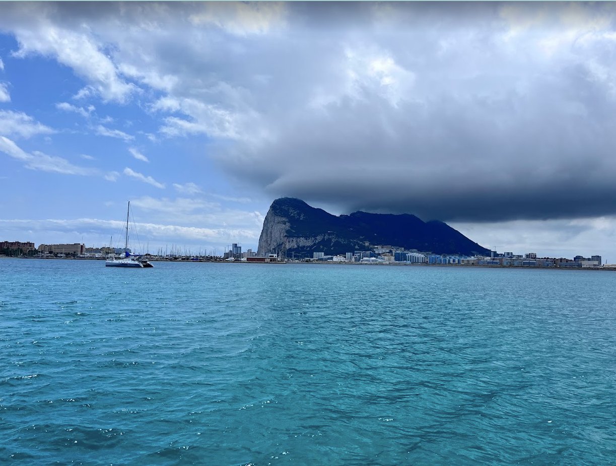 Screenshot 2023-08-22 1.45.06 PM.jpg