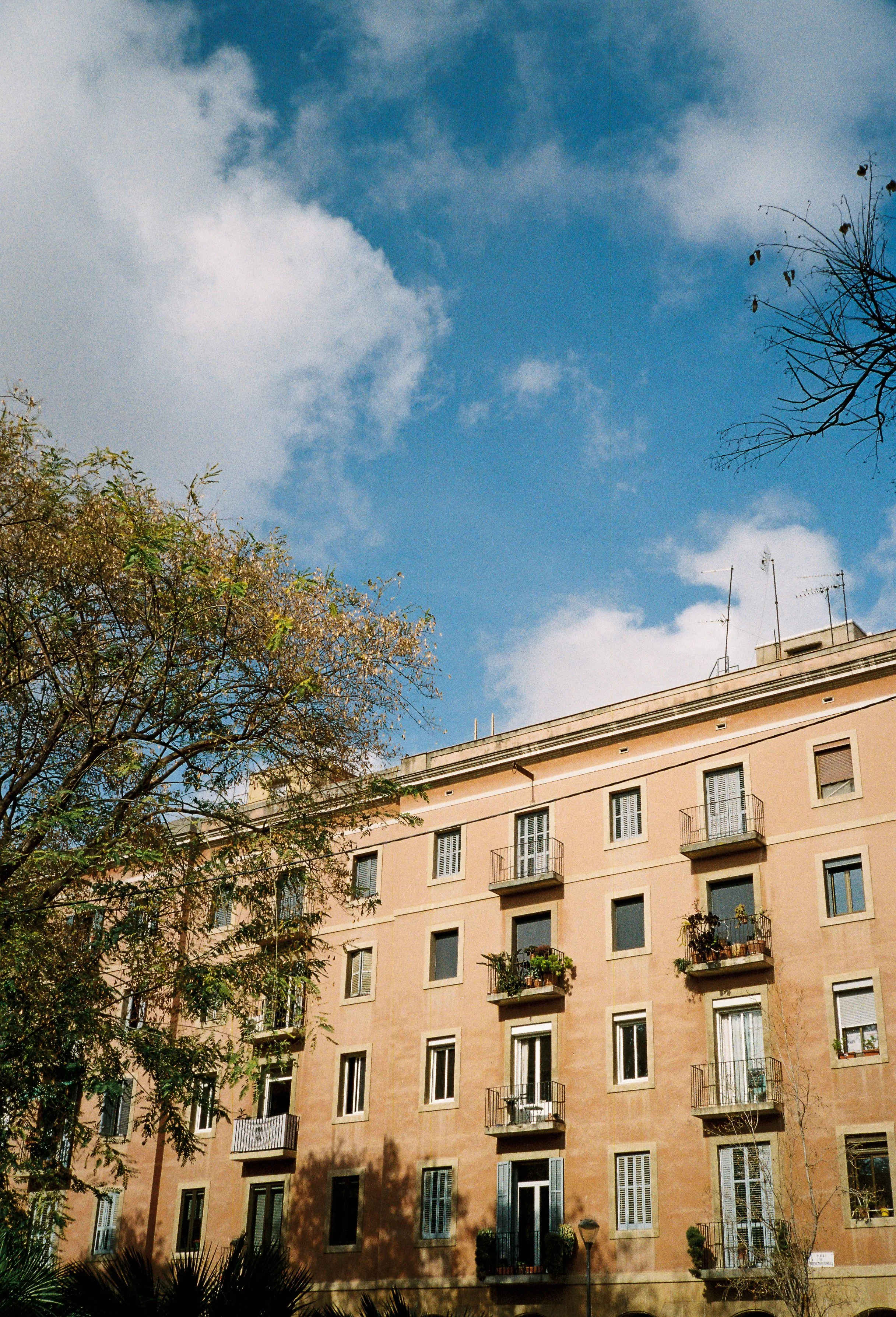 R1-06915-0024 copy.jpg