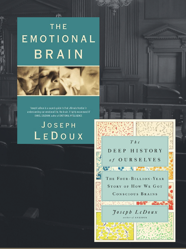 Beyond Symptoms: A Multidimensional View of Trauma—From Mind and Body to Family, Culture, and Systems