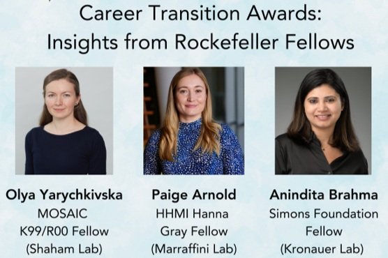Panel discussion on Academic Career Transition Awards