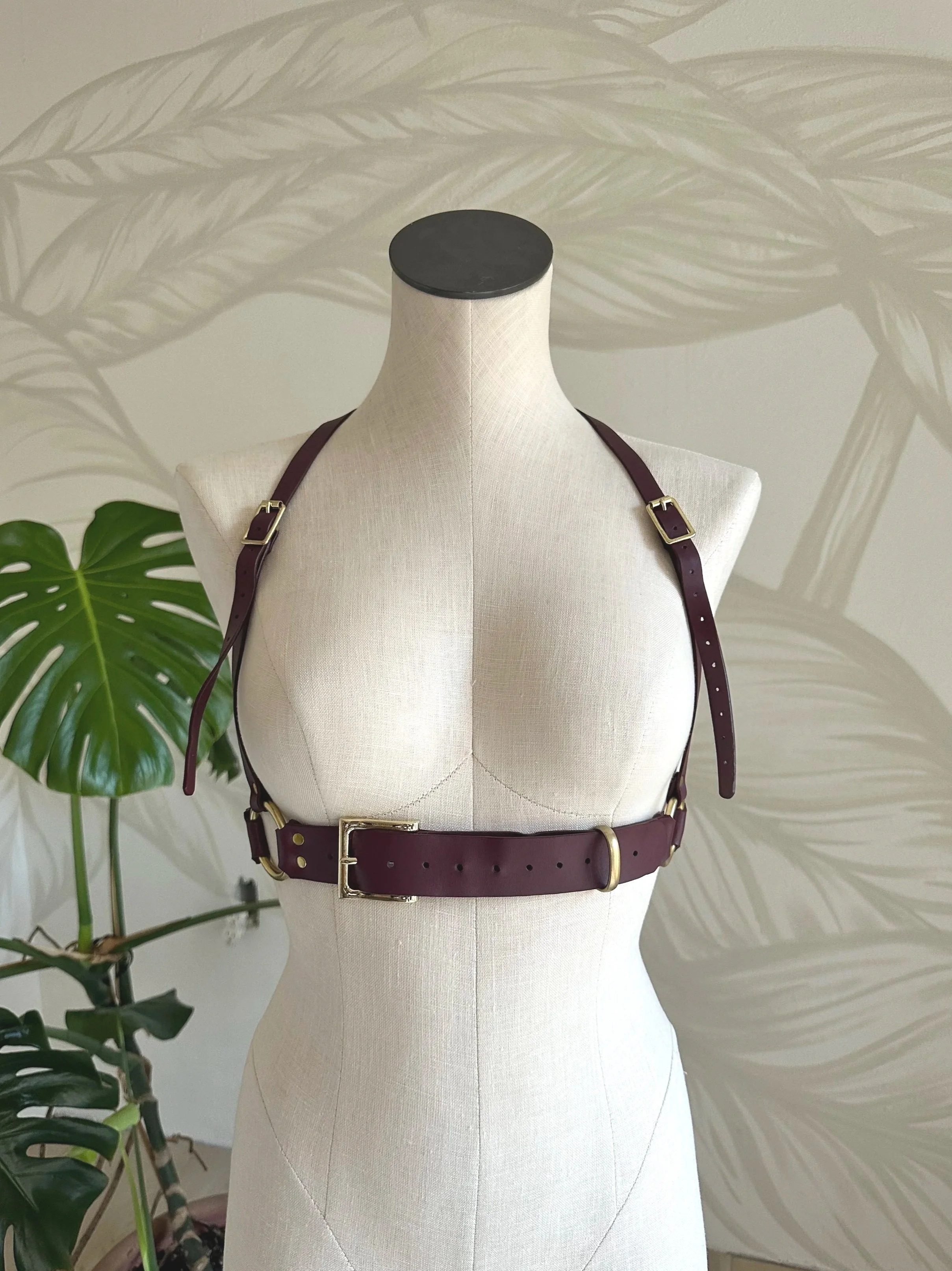 RTS Simple Chest Harness