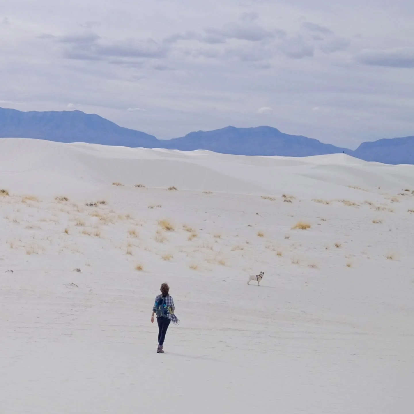 Change doesn't have to shake your balance - it can strengthen it .....
Fall reminds us that letting go can be gentle. 🍂
When we slow down, breathe, and ground into our bodies, we find grace in the shifts.
Grace in nature and in ourselves. 
This