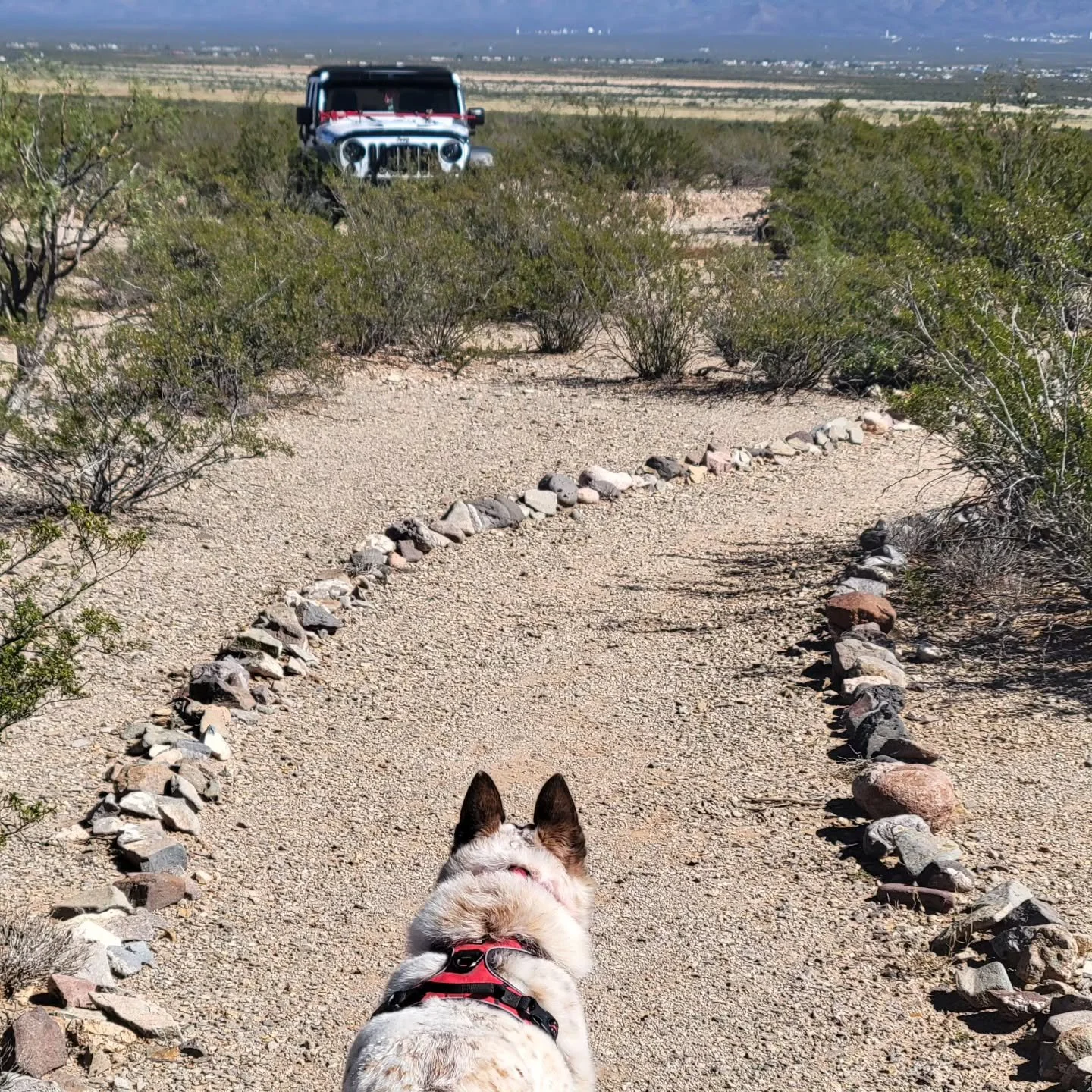 Your body whispers before it shouts....I'll admit, by the end of last week, I was feeling off. 🤪
I took the entire day on Friday to complete my Souls Tango program workbook. 
Lots of work, but. .Yay! It was finished! 😀
That night, as I walked ou