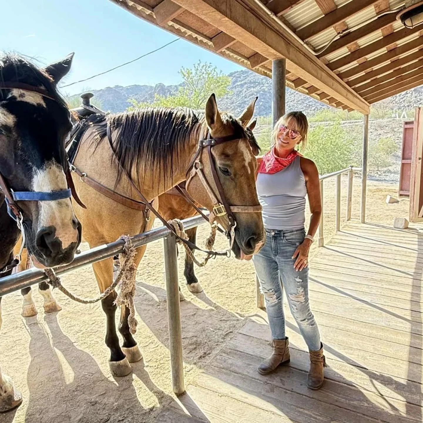 It's been 8 weeks since I injured my back horseback riding on a retreat....
Some days, I feel strong again.
Other days, the pain reminds me that I'm still in the process of healing. 
Healing and transformation don't happen in a straight line - it'
