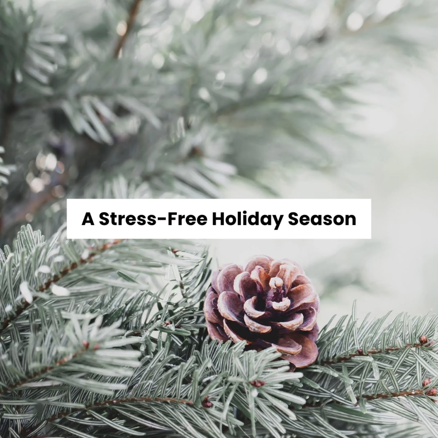 The holidays don't have to feel rushed, overwhelming or heavy. 

This season gives you permission to soften and choose peace. ✨️

Here are a few gentle reminders:

✨️ Breathe before you rush. Presence is more powerful than perfection.
✨️ Say no when 