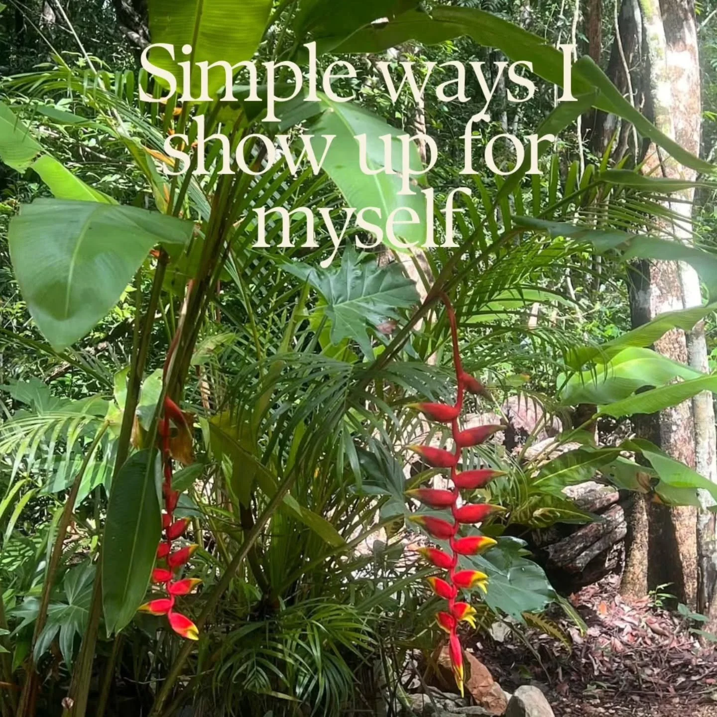 As this year comes to a close, I'm not trying to do more....

I'm choosing simple ways to show up for myself.

✨️Daily Yoga &amp; Meditation: Movement with intention

🥦Clean Healthy Eating: Nourishing foods not restriction

🌿Spending Time in Nature