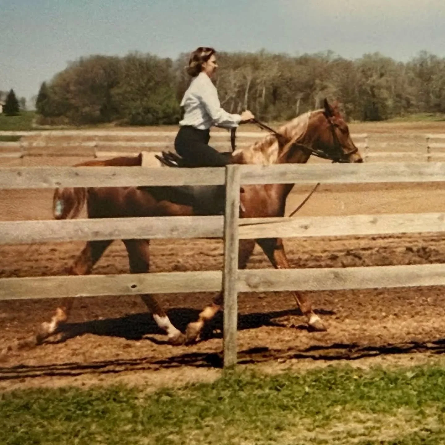 The first 3 photos are over 20 years old. A younger version of me riding in a horse show. 

The last three photos are current. 

A true testament of holistic healing and lifestyle choices. 

Younger, uncertain, and stressed. 

Life took me in all sor