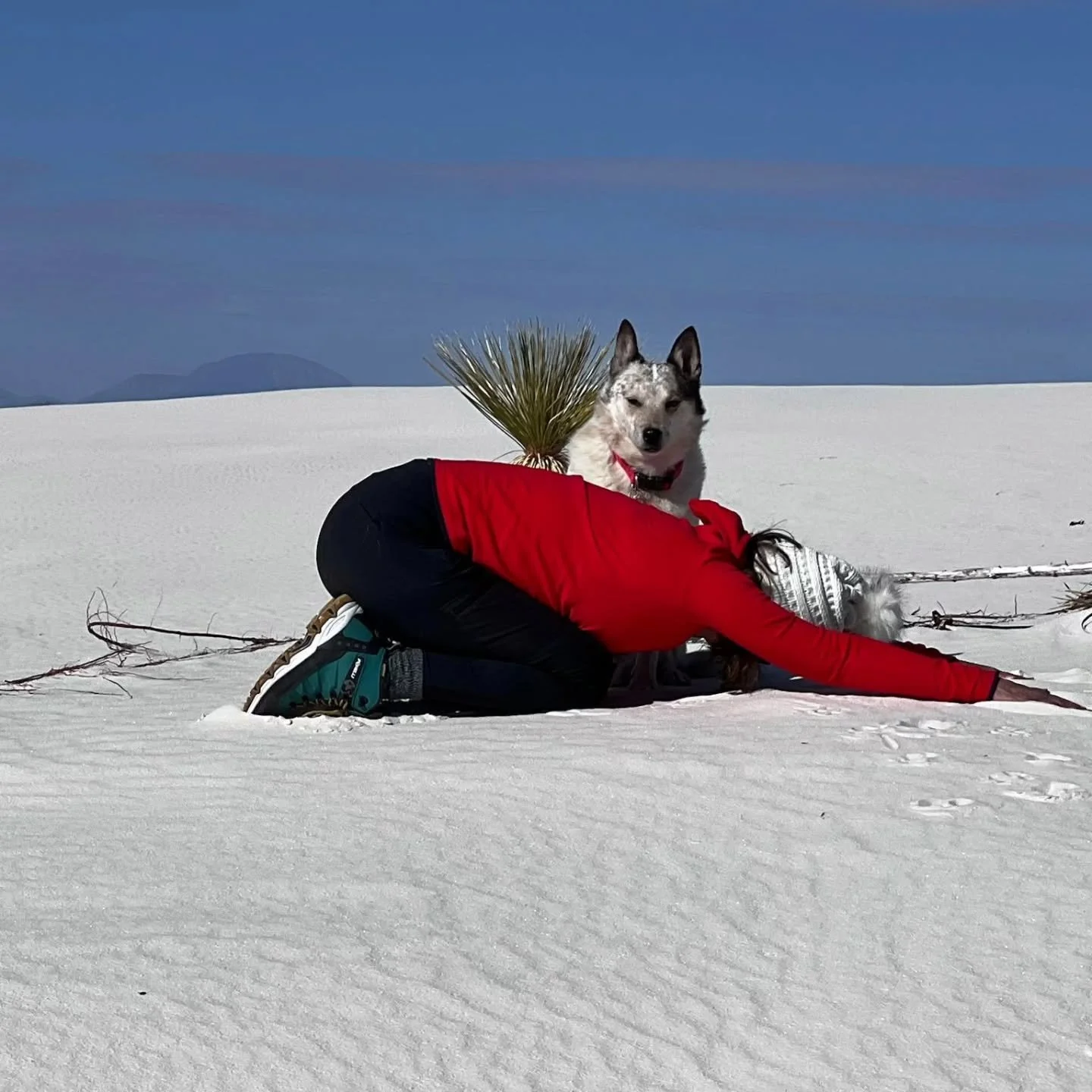 Sometimes being quiet is how we heal and how we serve....

Join me this week! 

Schedule Week of February 9th
Ivy's Holistic Arts 🧘&zwj;♀️
Yoga * Wellness * Coaching

MONDAY
8:30am MT Yoga - Zoom
10am MT Pilates Plus - Aquatic Center 
11am MT Yoga -