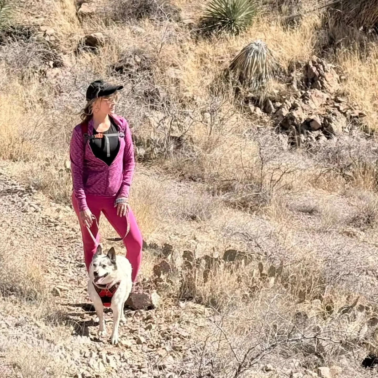 You forget how active you are until....you injure yourself. 🤪

It's been 6 months since I injured my back horseback riding on retreat. 

I'm grateful that I have been able to do most of my activities with some minor adjustments. 

And, on January 1s