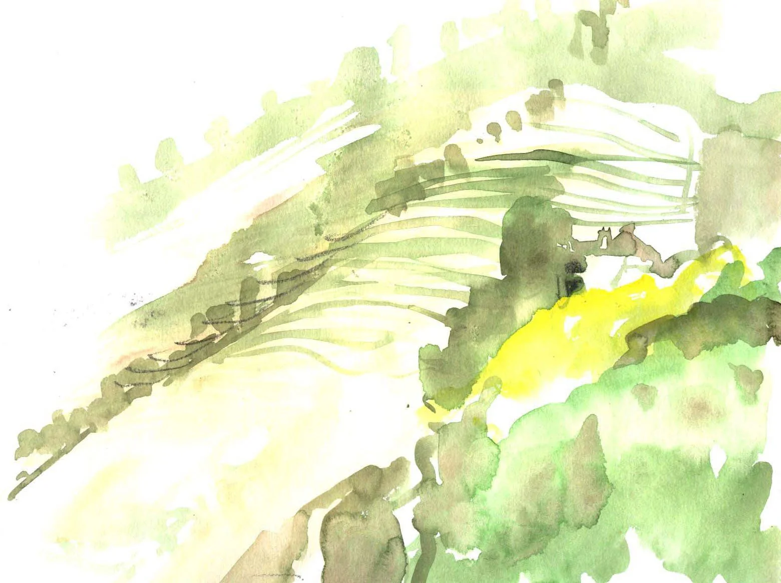 watercolors-richard-hutman