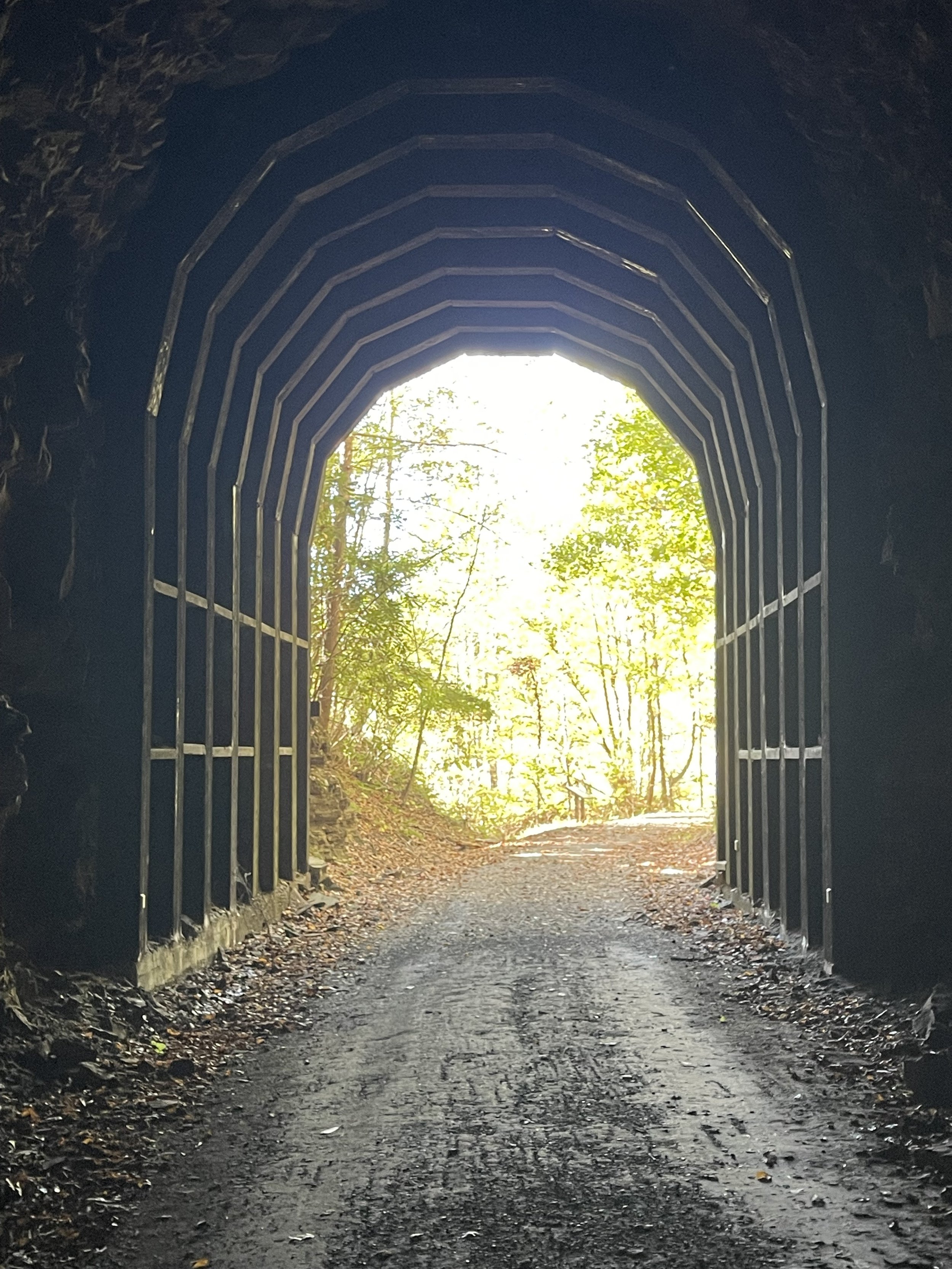 Spring on the Greenbrier Trail June 12-15, 2025