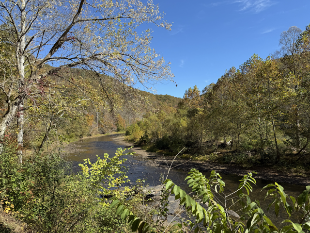 Greenbriar Scenic Medium.png