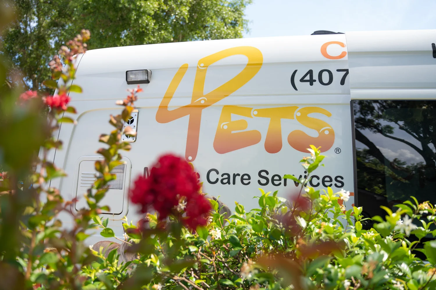 Mobile Pet Grooming Orlando Fl 1