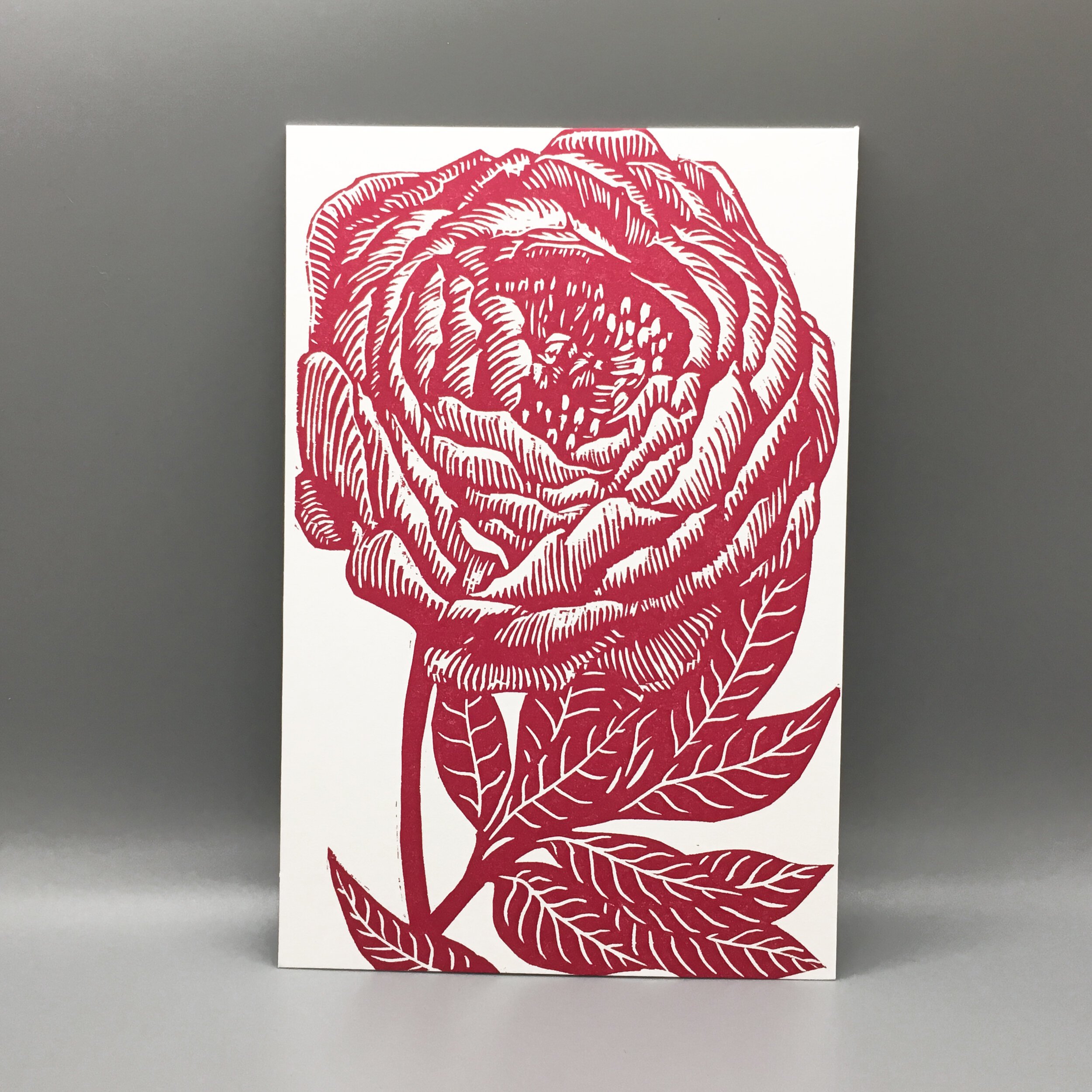Pixley_Peony.jpeg