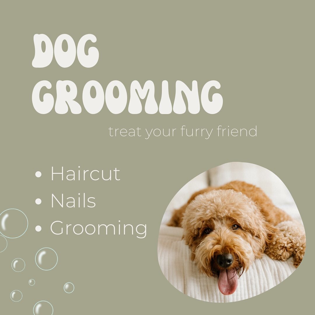 Adventure awaits 🌎 your beloved pup! Our grooming services keep them looking fresh and ready for their next outdoor escapade. Join the adventure! 🐾 
Link in bio to book!