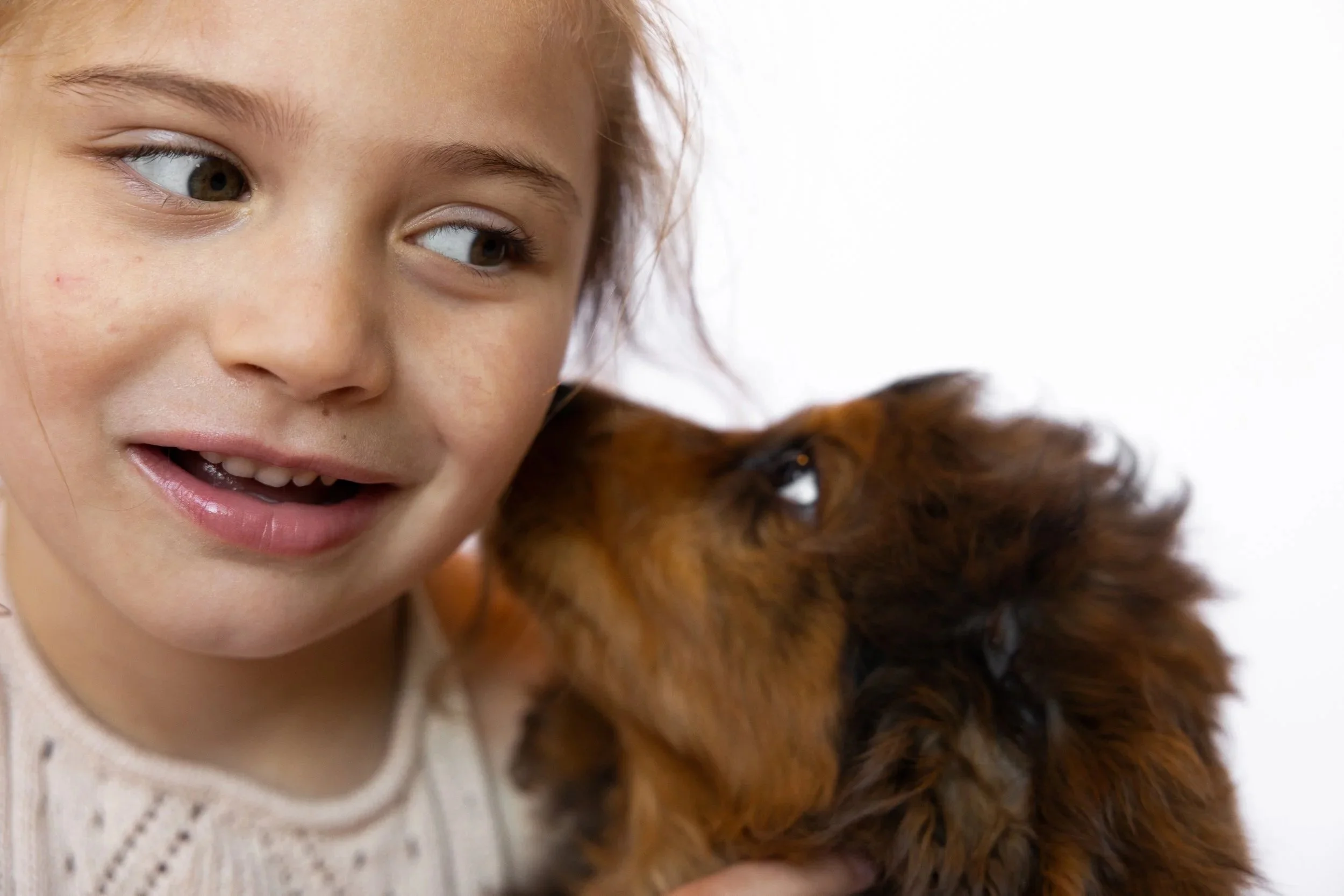 PUPPY HOME SETUP &amp; SUPPLIES