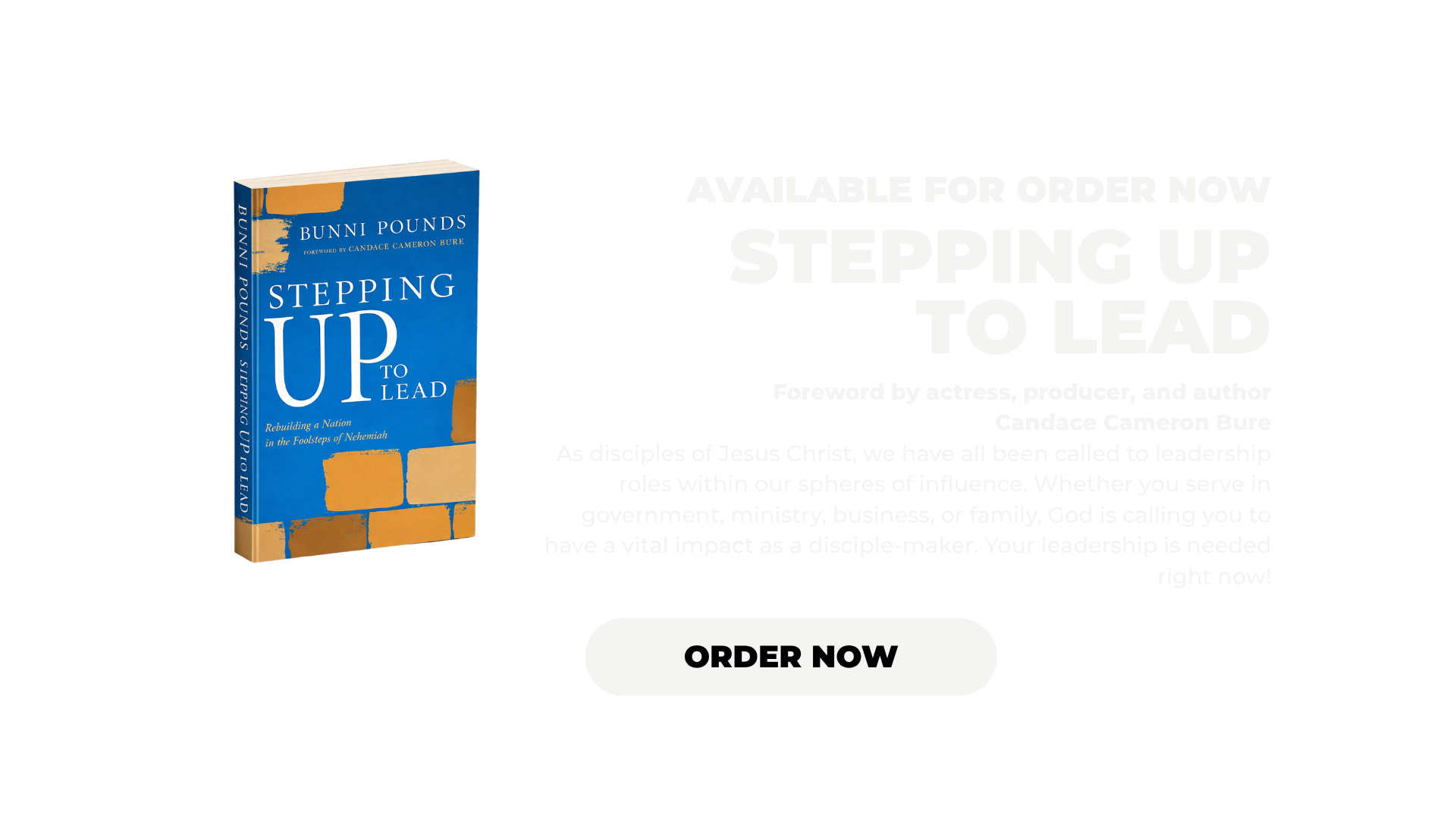 BP Website - homepage (2).png