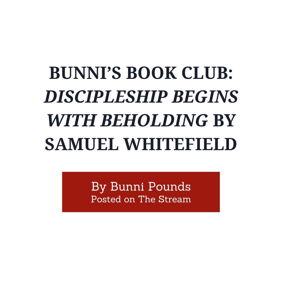 Bunni Pounds - Articles - White.png