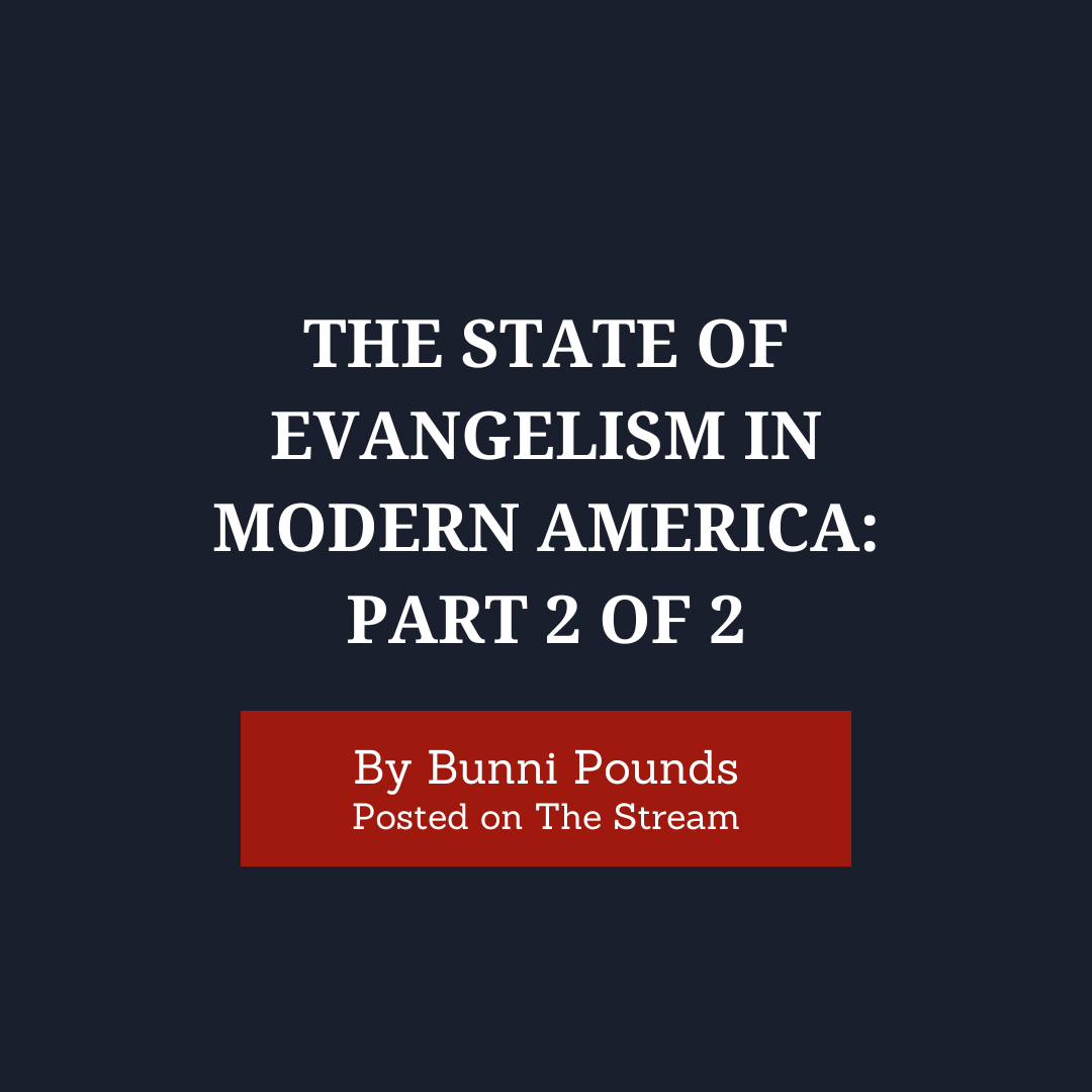 Bunni Pounds - Articles - Blue.png