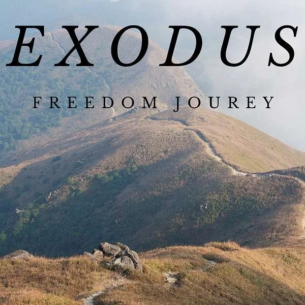 Sixth Sunday after Pentecost- July 20