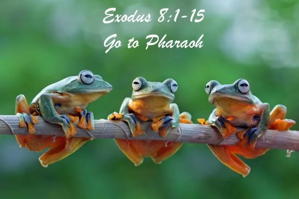 Eighth Sunday after Pentecost- August 3