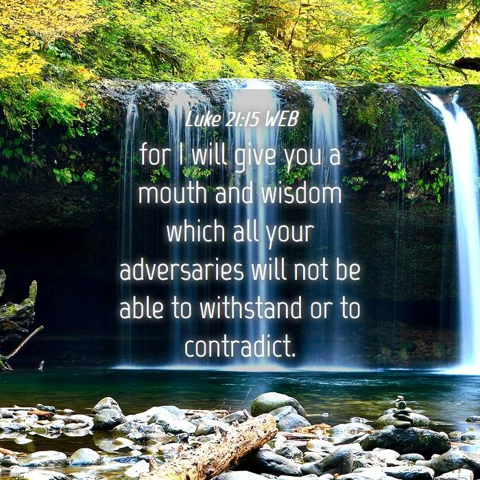 Twenty third Sunday after Pentecost- November 16 