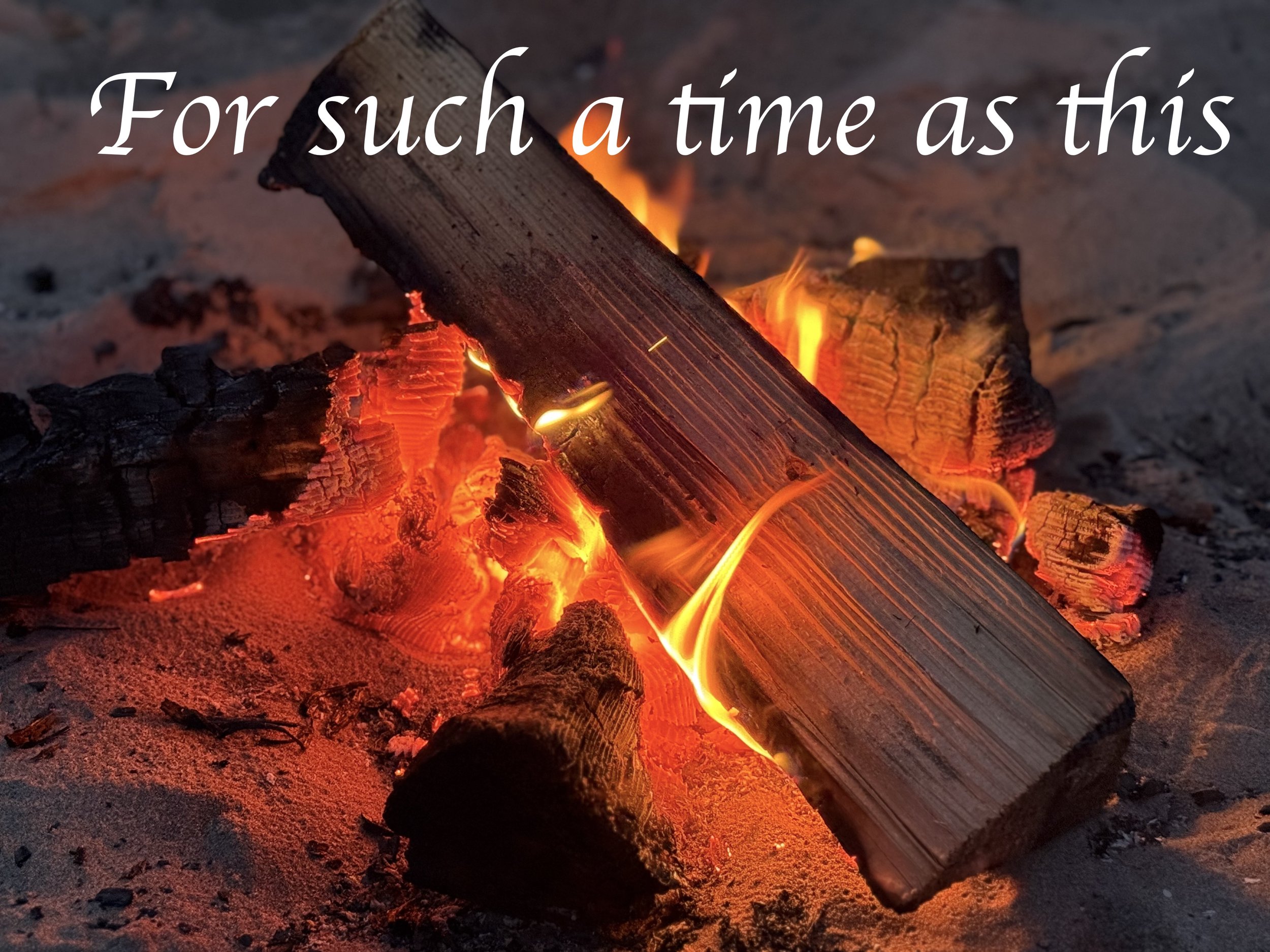 Twelfth Sunday after Pentecost, August 16