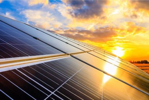 Solar Panel Installation and Planting Celebration