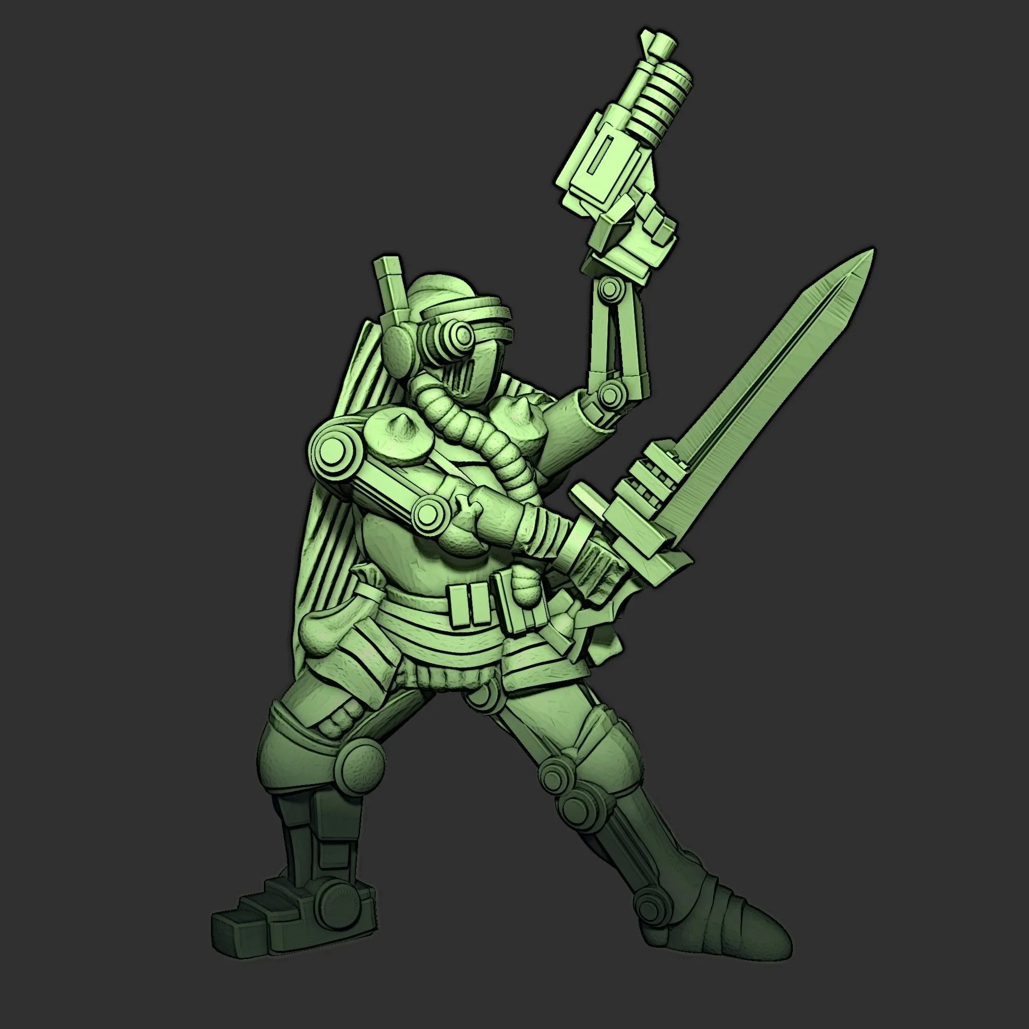 Cyborg Paladin