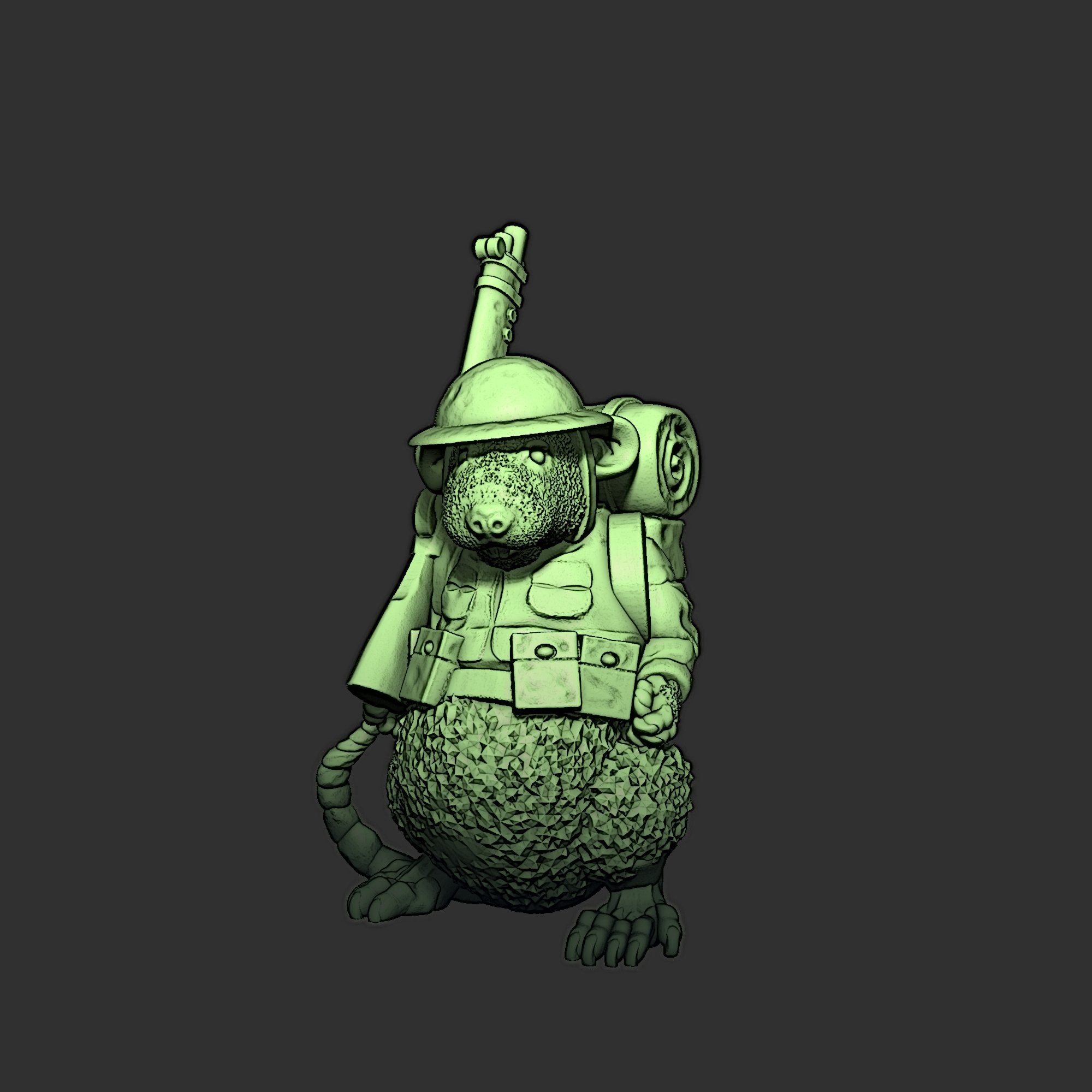 Pookah Provincial Guard