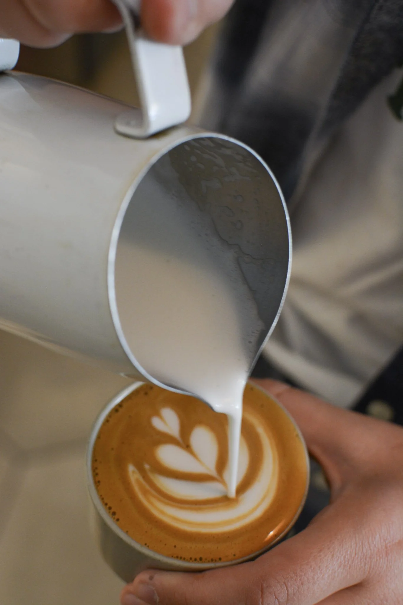 Apply — TREETOP COFFEE SHOP