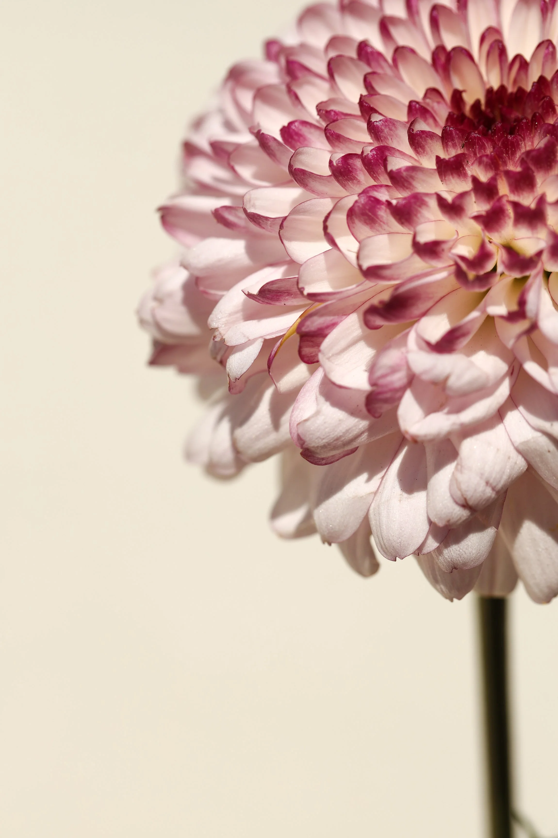 Getting Sick All the Time Isn’t Normal — Here’s What to Look At Instead