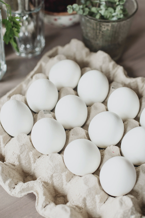 Finding Purpose Through Egg Donation