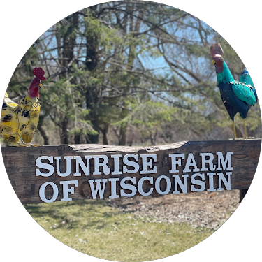 Sign that reads 'Sunrise Farm of Wisconsin' with decorative Rooster and Hen statues outdoors on a farm.