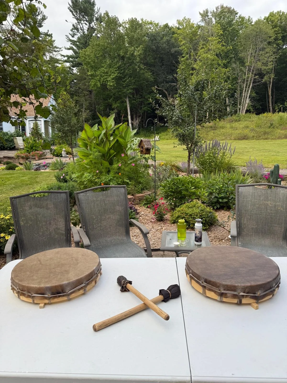 WhatsApp Image 2026-02-12 at 9.44.38 AM (17).jpeg