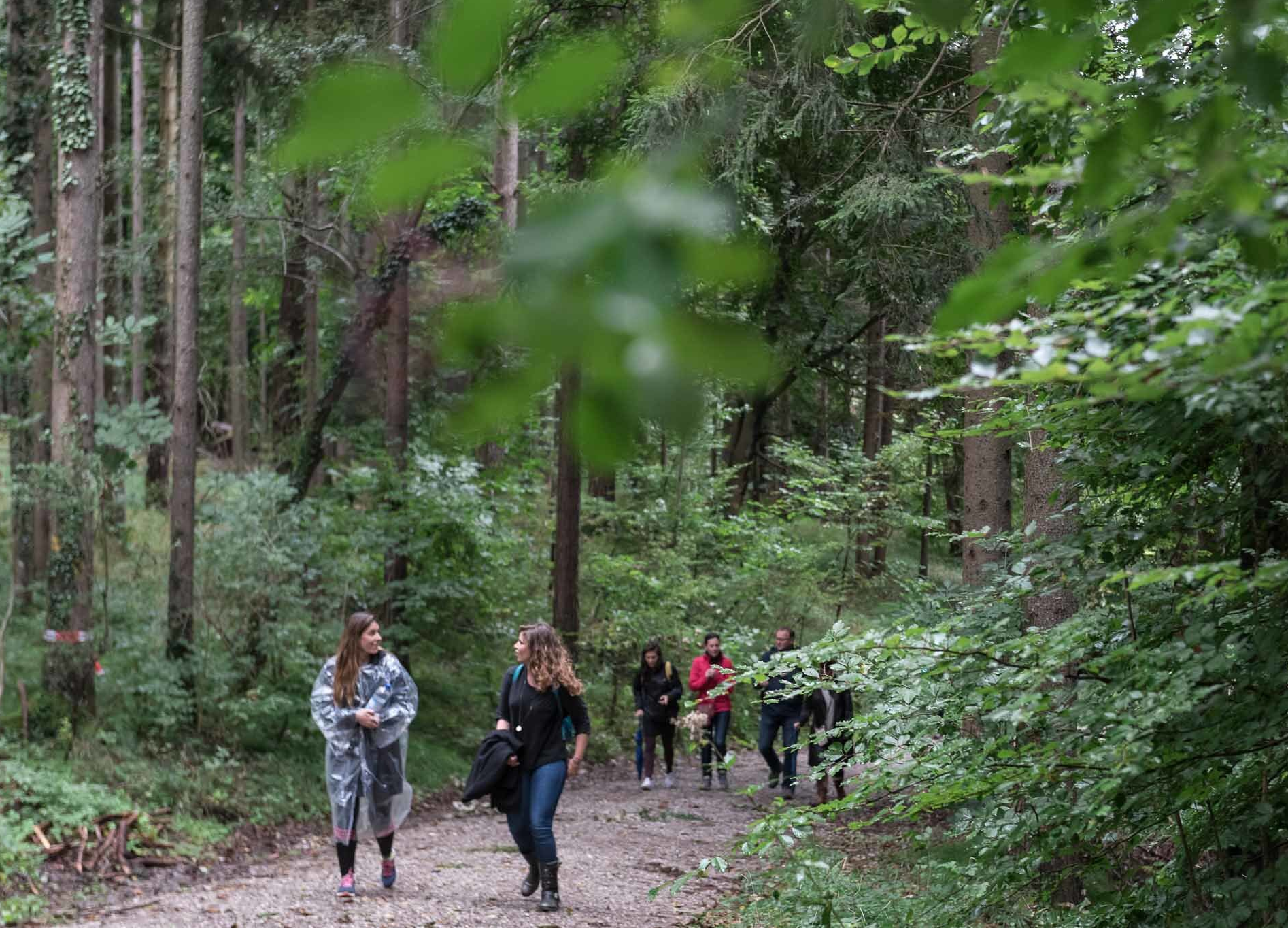 The Seven Trails Seeker | Free (August)