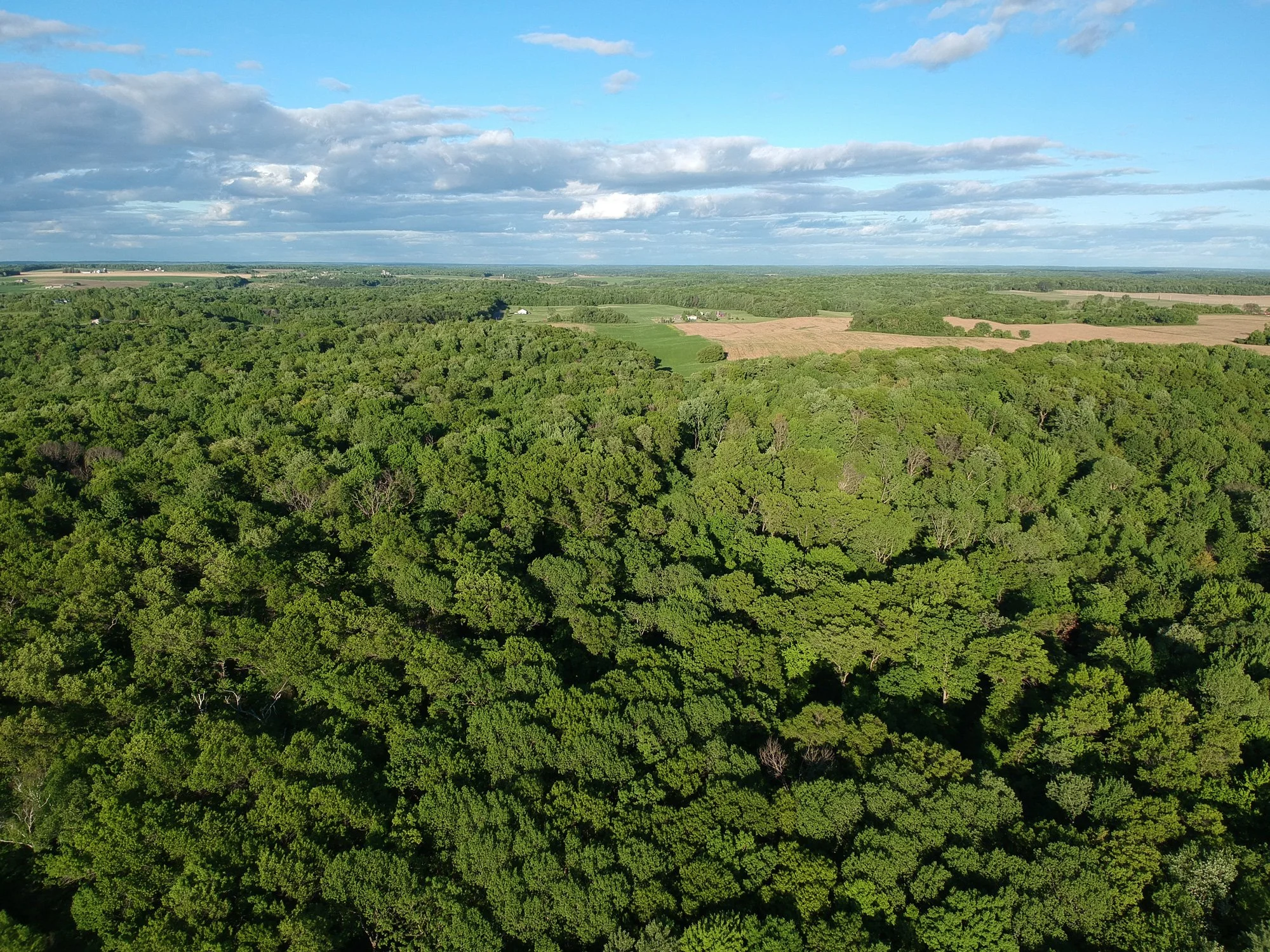 Lake Osceola Retreat Retreat Center + Event Venue