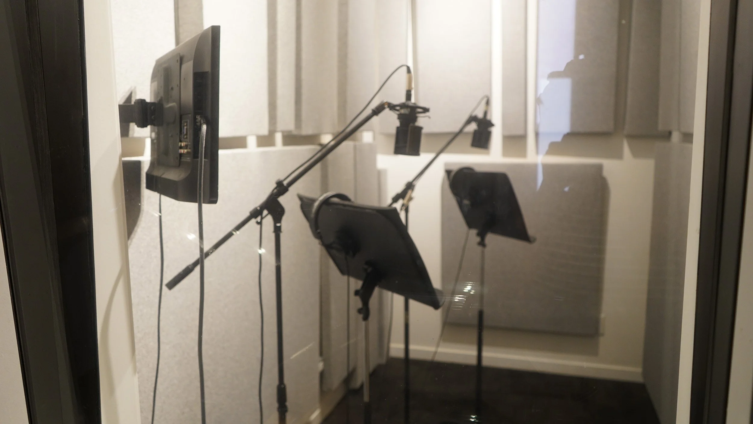 Professional voice-over recording booth with studio microphones, script stands, and acoustic treatment.