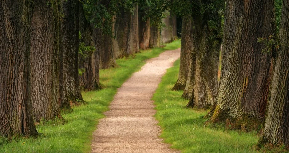 Starting On A New Path