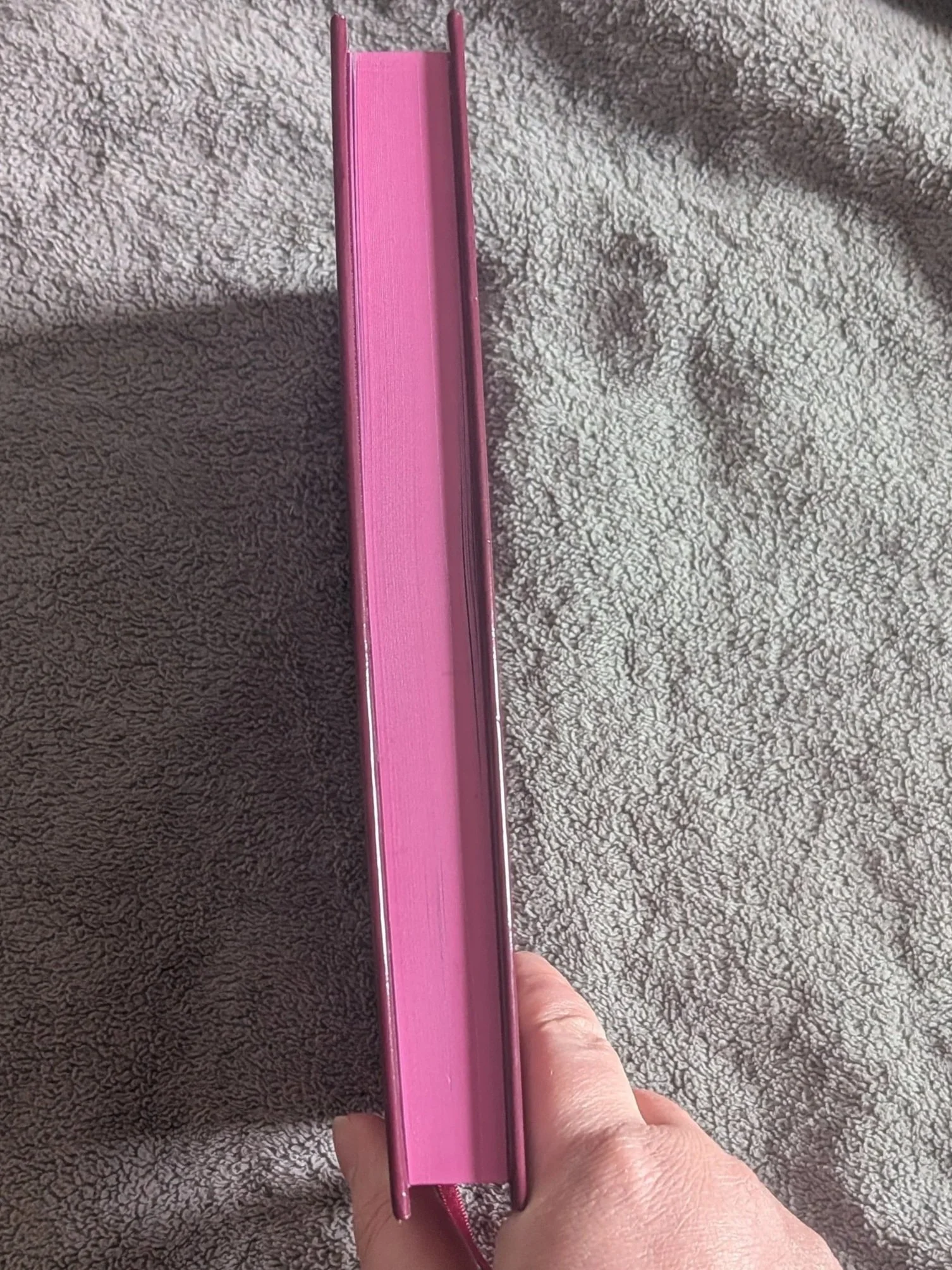 The Fate of Angels and Demons by Maria Levato (Special Edition Hardcover) - Sprayed Edges