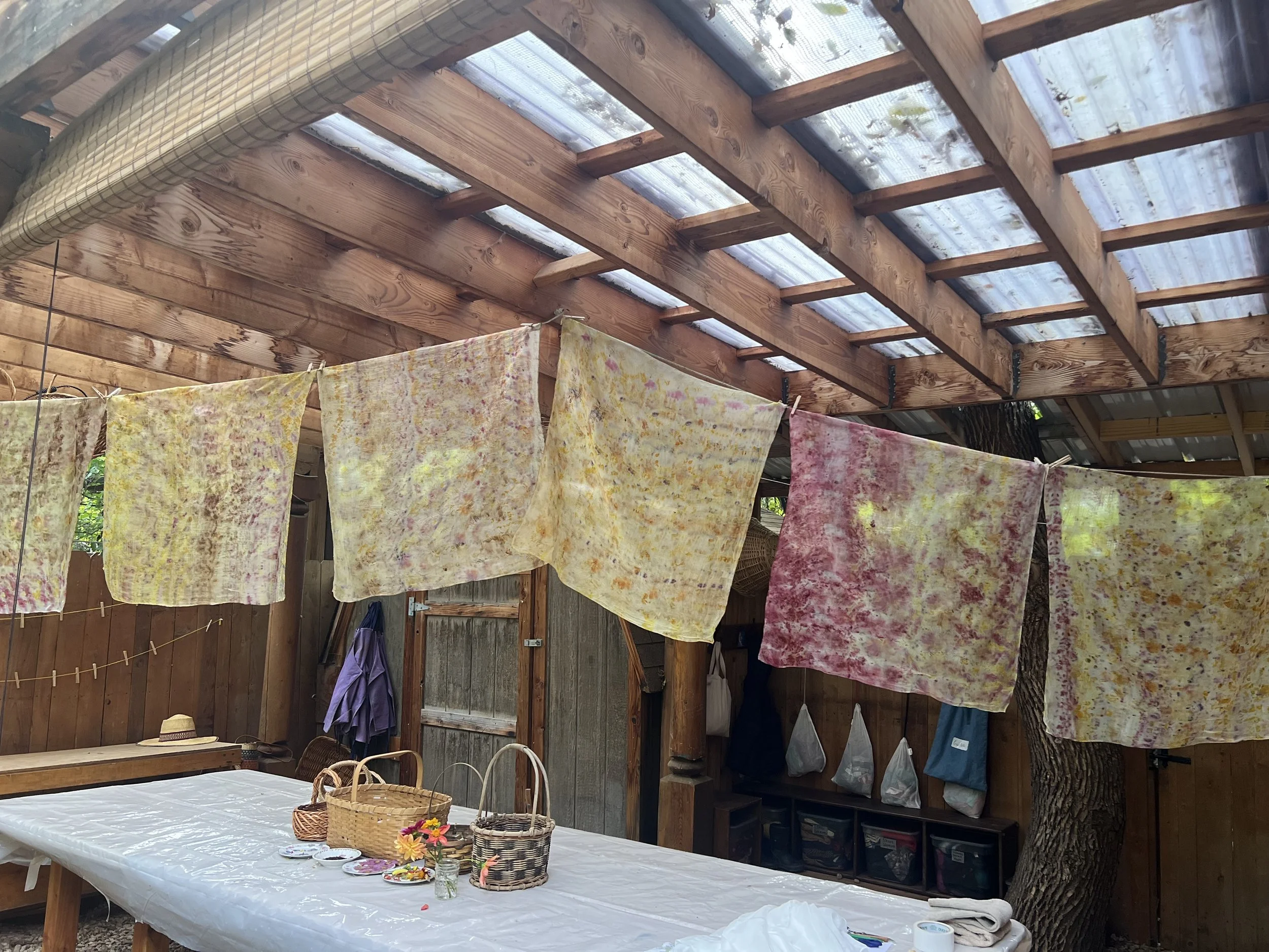 Nature-Based Learning at Sage Programs in Boulder, CO