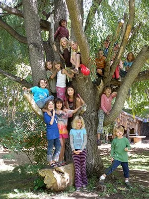 children-in-tree.jpg
