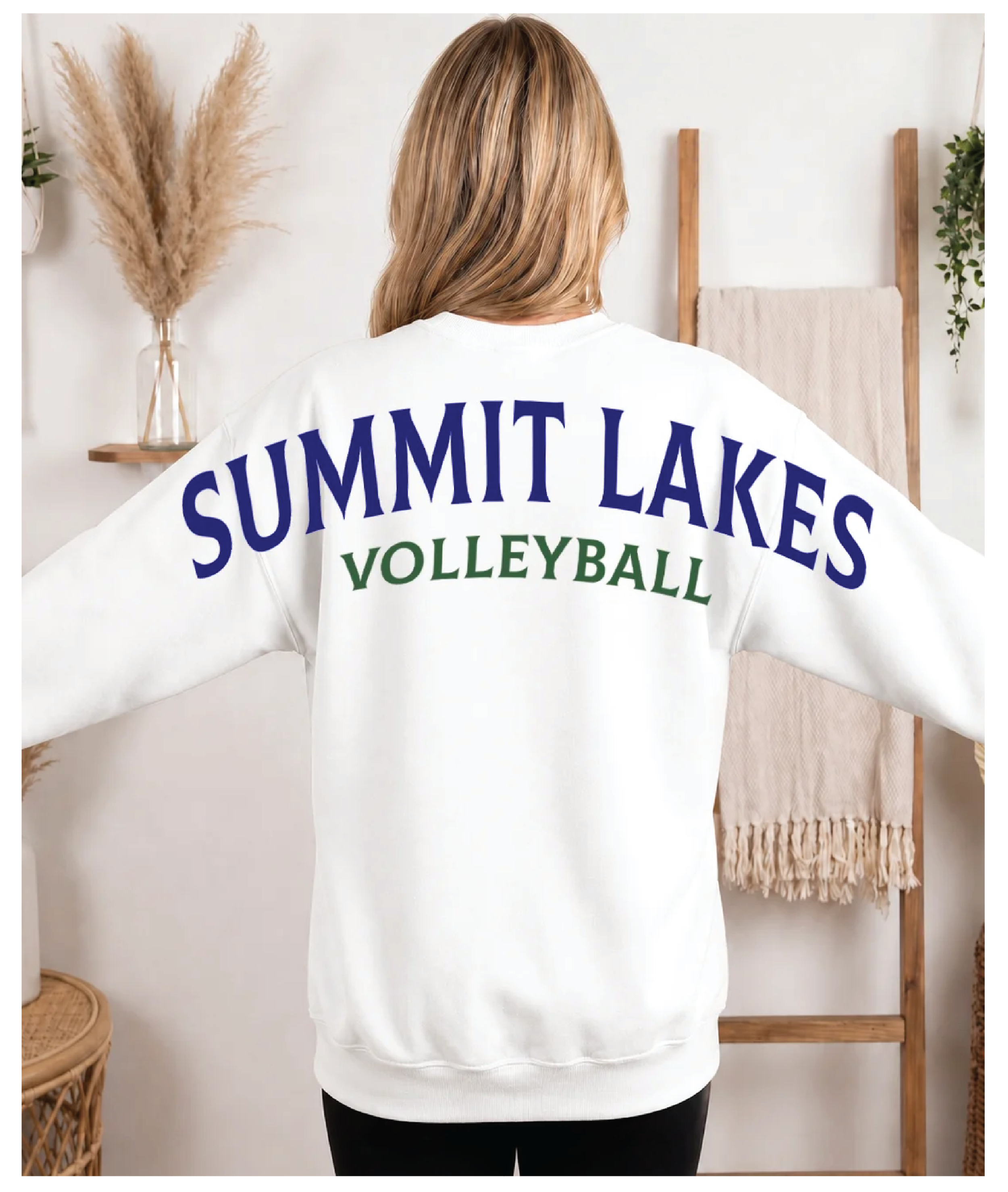 vb ball-08.png
